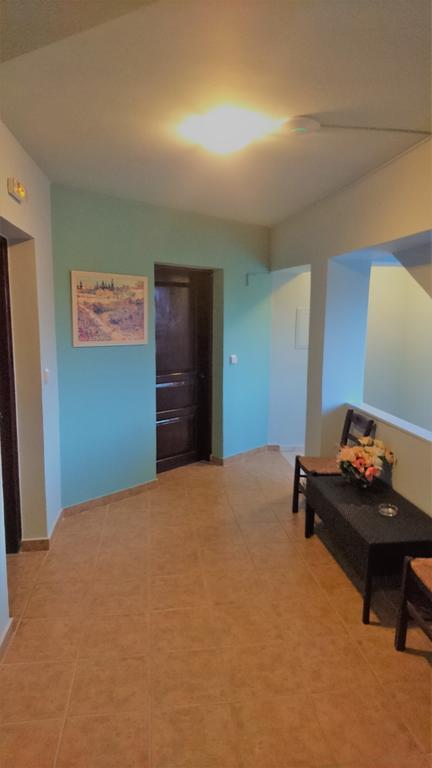 ארגאסי Doras Zante Studios & Apartments מראה חיצוני תמונה